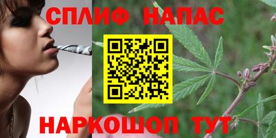 наркотики Шелехов