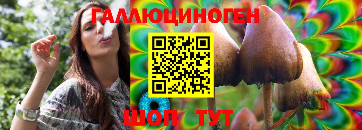 Галлюциногенные грибы GOLDEN TEACHER Аргун